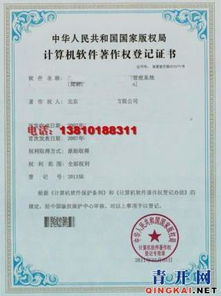 计算机软件著作权登记代办与企业管理咨询 赋能企业创新发展的双翼